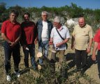 udruga paicusa, pisak, omiš, paićuša, masline, maslinici, akcije